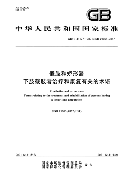 GB/T 41177-2021假肢和矯形器 下肢截肢者治療和康復有關(guān)的術(shù)語(yǔ)Prosthetics and orthotics—Terms relating to the treatment and rehabilitation of persons having a lower limb amputation