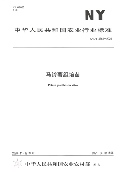 NY/T 3761-2020 馬鈴薯組培苗