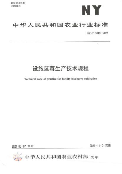 NY/T 3849-2021 設施藍莓生產(chǎn)技術(shù)規程