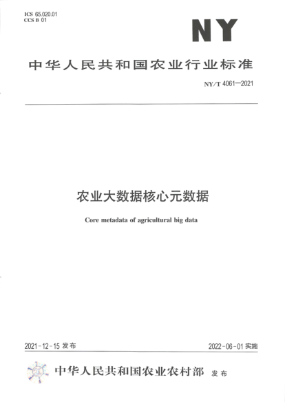 NY/T 4061-2021 農業(yè)大數據核心元數據