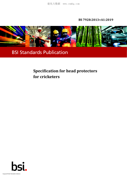 BS 7928-2013+A1-2019 Specification for head protectors for cricketers