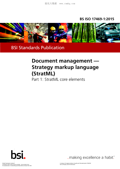 BS ISO 17469-1-2015 文獻管理 策略標記語(yǔ)言(StratML) StratML核心元素 Document management Strategy markup language (StratML). StratML core elements