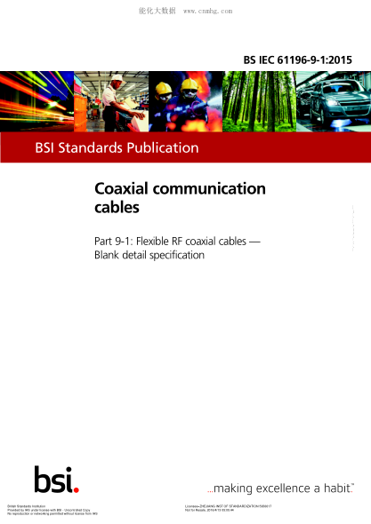 BS IEC 61196-9-1-2015 同軸通信電纜 柔性射頻同軸電纜 空白詳細規范 Coaxial communication cables. Flexible RF coaxial cables. Blank detail specification