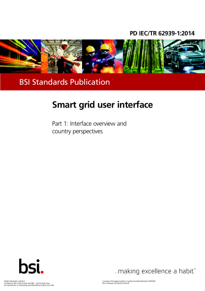 PD IEC/TR 62939-1-2014 Smart grid user interface. Interface overview and country perspectives