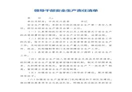 領(lǐng)導干部安全生產(chǎn)責任清單docx