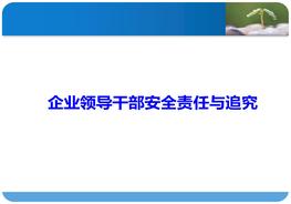 企業(yè)領(lǐng)導干部的安全責任、事故責任追究、處罰培訓、案例分析pptx