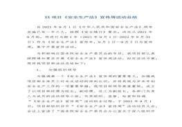 項目《安全生產(chǎn)法》宣傳周活動(dòng)總結(1)docx