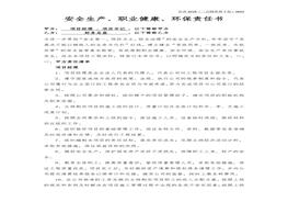 務(wù)總監責任書(shū)docx