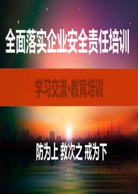 全面落實(shí)企業(yè)安全生產(chǎn)主體責任專(zhuān)題培訓(101頁(yè))ppt