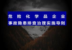 危險化學(xué)品企業(yè)事故隱患排查治理實(shí)施導則(95頁(yè))pptx