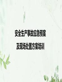 安全現場(chǎng)安全應急處置方案培訓(30頁(yè))pptx