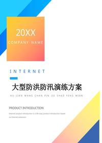 大型防洪防汛應急演練方案(21頁(yè))docx
