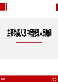 主要負責人及中層管理人員培訓(163頁(yè))pptx