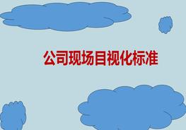 公司現場(chǎng)目視化標準pptx