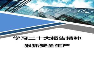 安全生產(chǎn)學(xué)習二十大報告精神心得體會(huì )docx