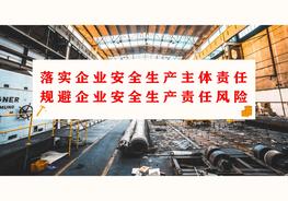 如何規避企業(yè)安全生產(chǎn)責任風(fēng)險（102頁(yè)）pptx