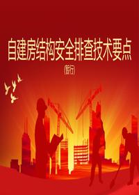 自建房結構安全排查技術(shù)要點(diǎn)(暫行)pptx