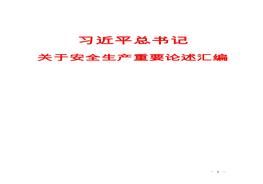 習近平總書(shū)記安全生產(chǎn)重要論述匯編docx