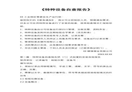 特種設備自查報告docx