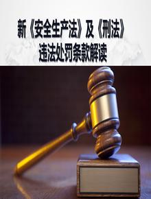 新版《安全生產(chǎn)法》及《刑法》違法處罰條款解讀(107頁(yè)) - 副本pptx