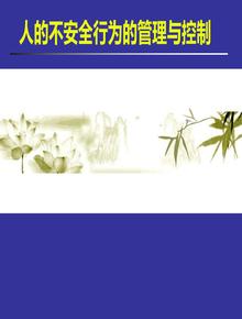 人的不安全行為的管理與控制(120頁(yè))(1)ppt