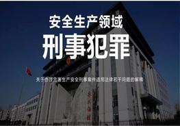 安全生產(chǎn)領(lǐng)域刑事犯罪專(zhuān)題培訓(100頁(yè))pptx