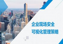 企業(yè)現場(chǎng)安全可視化管理策略pptx