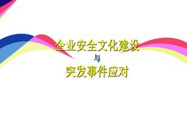 企業(yè)安全文化建設與突發(fā)事件應對pptx