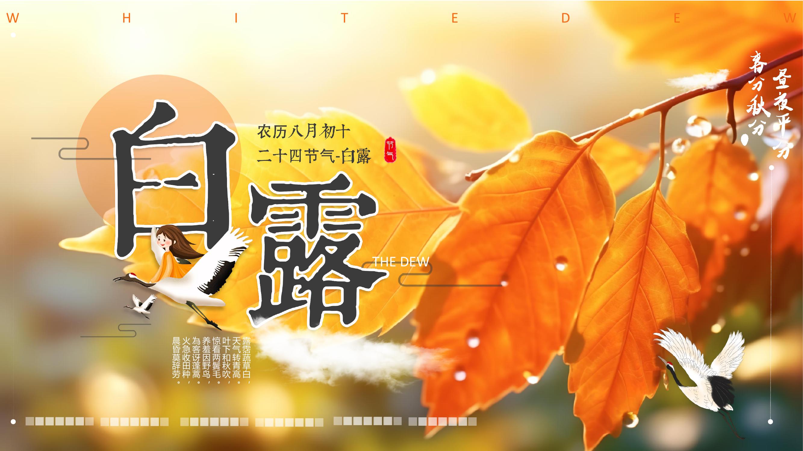 白露節氣pptx