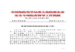 全國危險化學(xué)品重大危險源企業(yè)專(zhuān)項檢查督導工作簡(jiǎn)報(第6期)(1)pdf