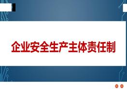企業(yè)安全生產(chǎn)主體責任制pptx