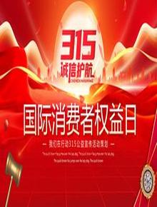 315國際消費者權益日公益宣傳活動(dòng)策劃模版pptx