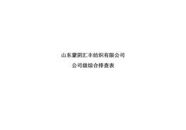 公司級綜合排查表doc