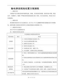 觸電事故現場(chǎng)處置方案演練doc