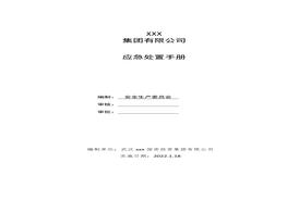 應急處置手冊docx