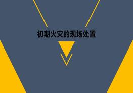 初期火災的現場(chǎng)處置pptx