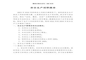 XX項目部安全生產(chǎn)述職報告(9頁(yè))doc