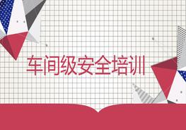 車(chē)間級安全培訓pptx