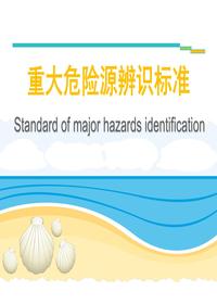 重大危險源辨識標準課件(85頁(yè))pptx