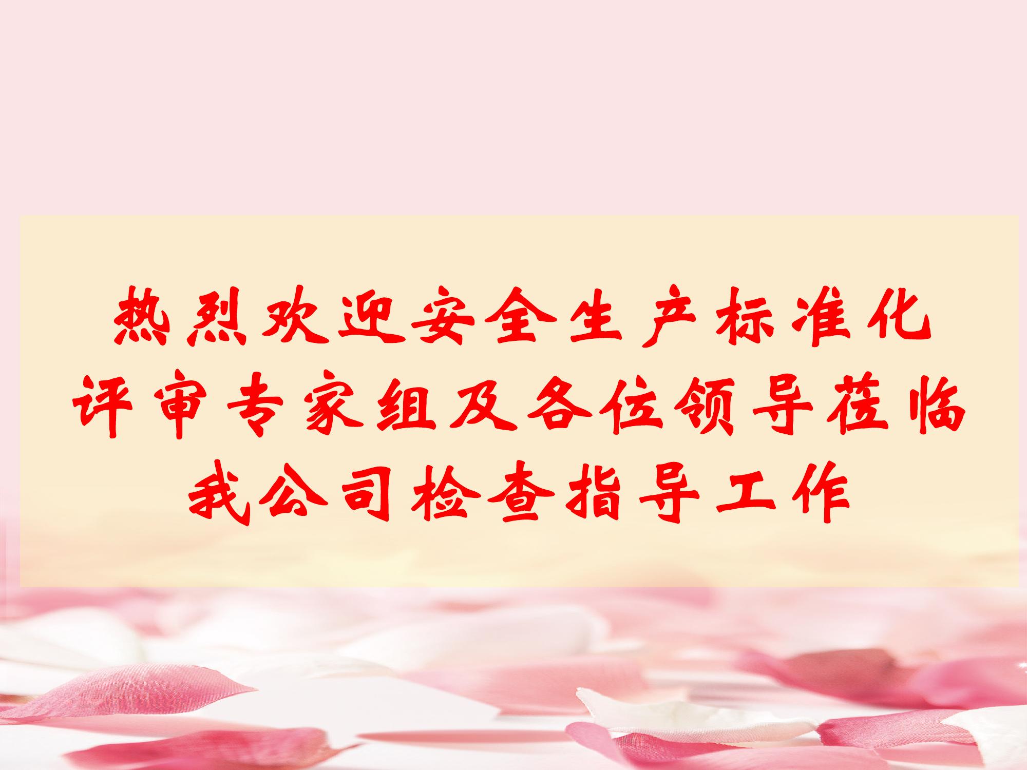 安全生產(chǎn)標準化創(chuàng )建工作匯報材料ppt