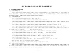 職業(yè)病危害風(fēng)險分級報告doc