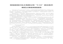 陽(yáng)城縣瑞興化工有限公司“5·16”硫化氫中毒較大事故調查報告doc