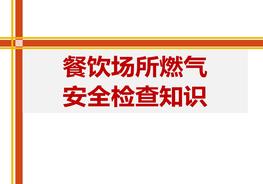 餐飲場(chǎng)所燃氣安全檢查知識(60頁(yè))pptx