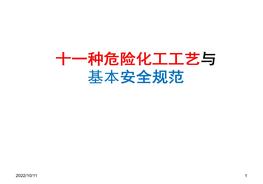 十一種危險化工工藝與基本安全規范(58頁(yè))pptx