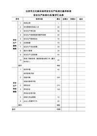 文化娛樂(lè )場(chǎng)所安全生產(chǎn)標準化基本標準docx