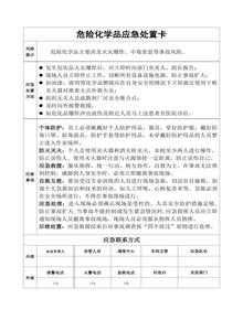 危險化學(xué)品應急處置卡docx