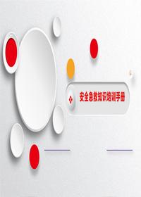 2023安全急救知識培訓手冊(29頁(yè))pptx