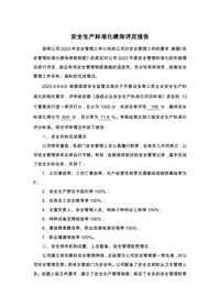 安全生產(chǎn)標準化績(jì)效評定報告docx
