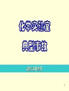 化學(xué)實(shí)驗室安全事故案例pdf