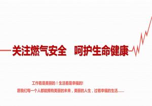 2022關(guān)注燃氣安全 呵護生命健康(1)pptx